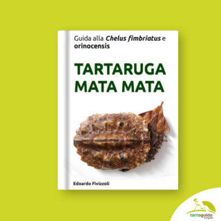 Chelus fimbriata e orinocensis manuale guida - Tartaruga mata mata