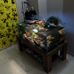 Tarta Habitat Acquario per tartarughe 100x50x40 h cm photo review