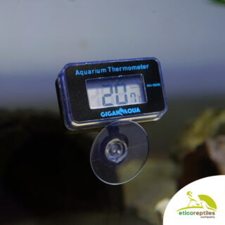 Termometro per tartarughe acquario