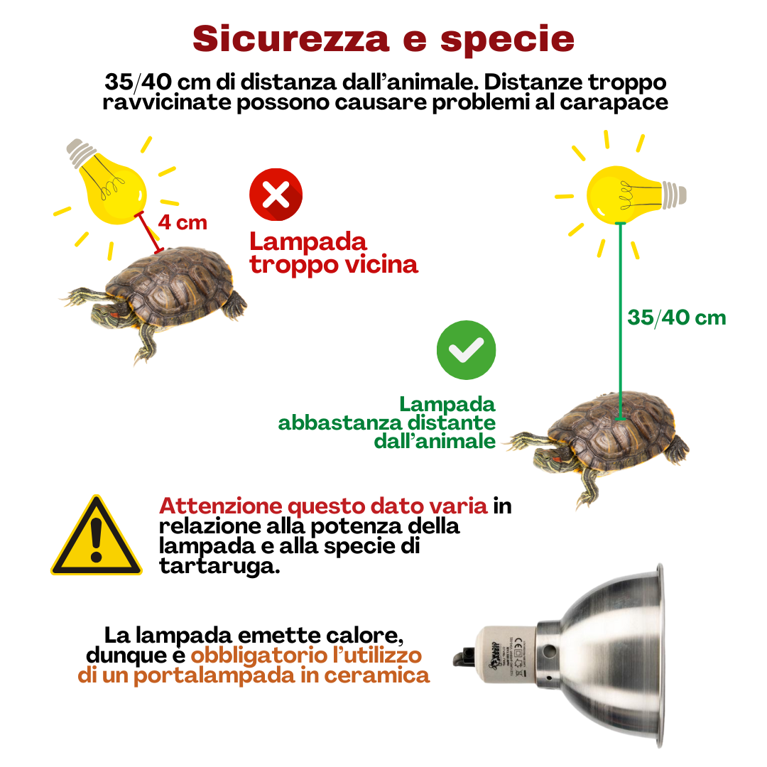 lampade per tartarughe acquatiche distanza